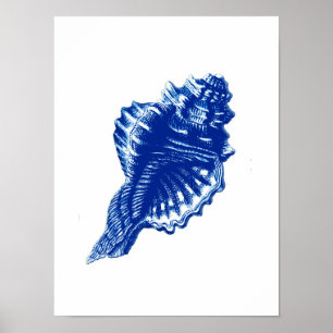 Póster Conch Shell, azul de índigo e branco