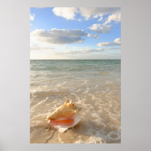 Poster Conch Shell na areia na praia tropical