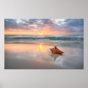 Poster Conch Shell na Praia Jamaica