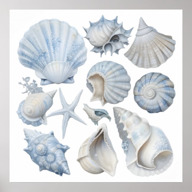 Poster Conchas de Aquarela Azul e Branco – Berçário do Oc (Frente)