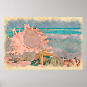 Póster Conchas de aquarela na praia grande pôster