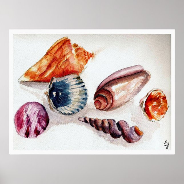 Poster Conchas de Verão (Frente)