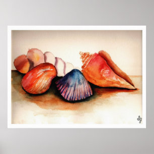 Poster Conchas De Verão