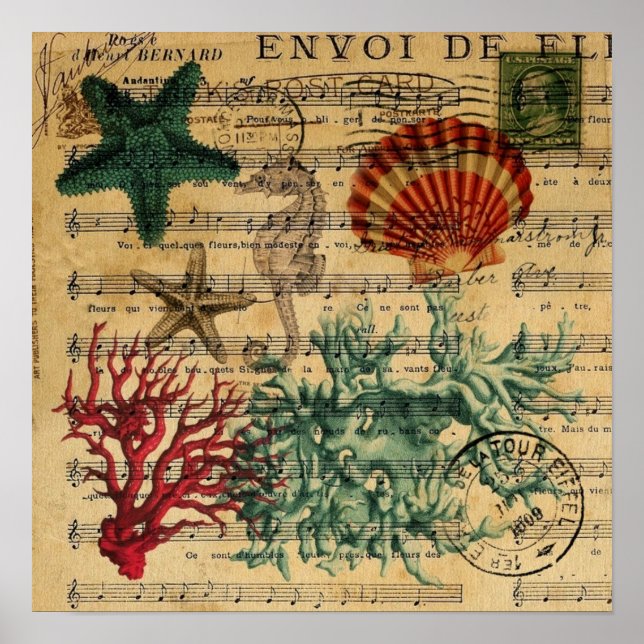 Póster conchas marinhas costeiras tropicais (Frente)