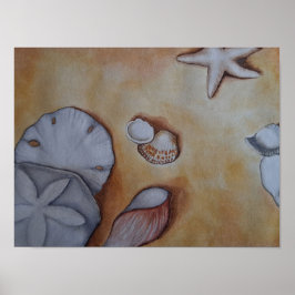 Poster Conchas marítimas no litoral