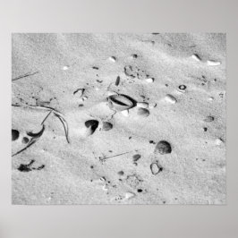 Poster Conchas pretas e brancas na areia 16x20