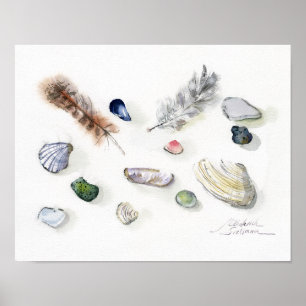 Poster Conchas Seixos e Penas Aquarela