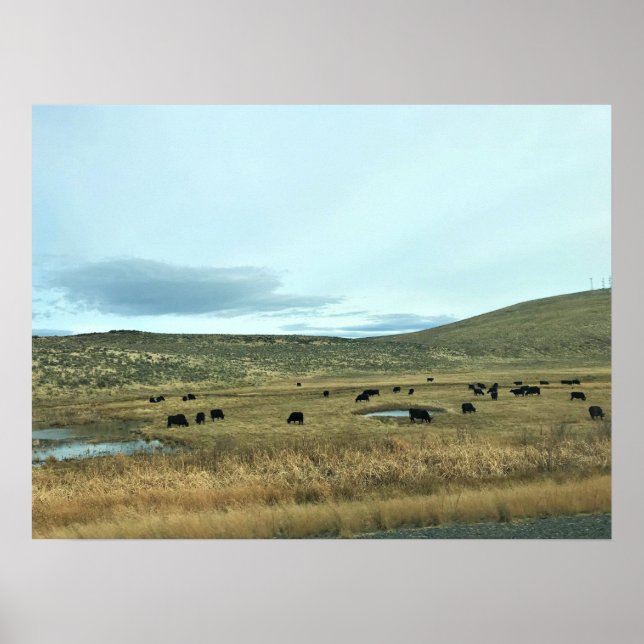 Poster Condado de Baker Rural, Oregon (Frente)