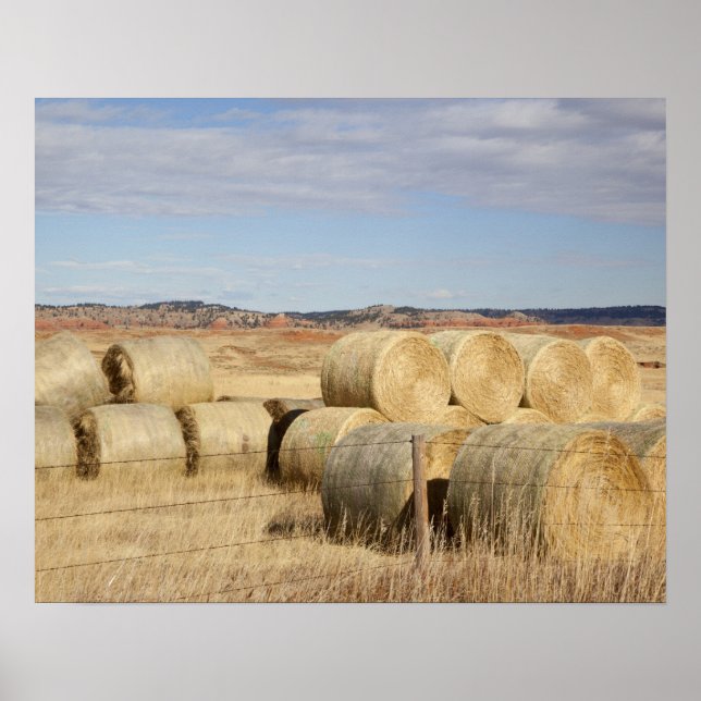 Póster Condado de Crook, Hay Bales (Frente)