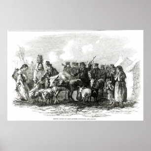 Póster Condução de Bovinos para Rendas