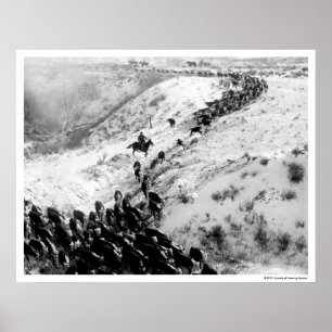 Póster Conduzindo gado no inverno.