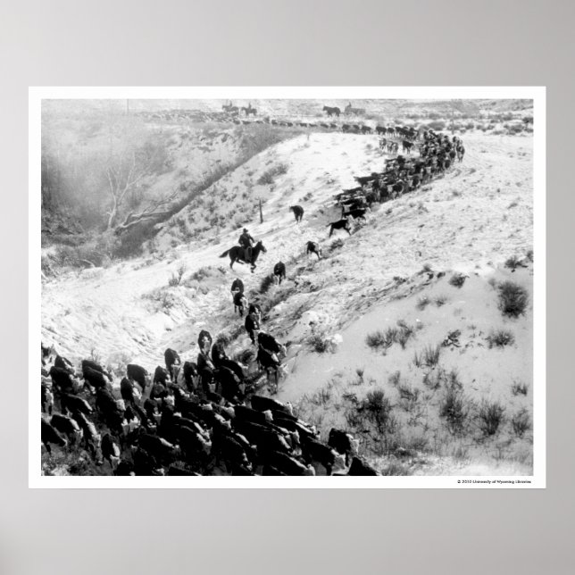 Póster Conduzindo gado no inverno. (Frente)