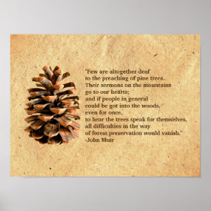 Póster Cone do pinho e citações de John Muir