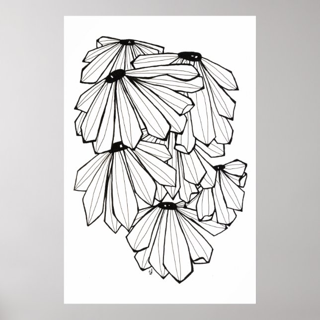 Póster Coneflower (Frente)