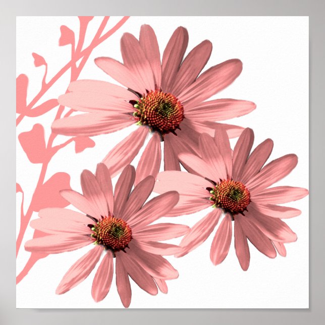 Poster ConeFlowers (Frente)