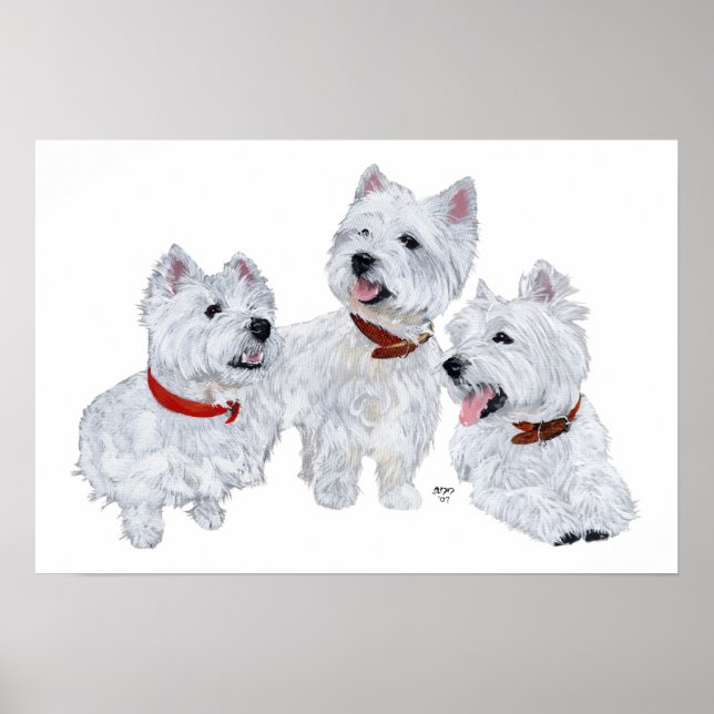 Póster Conferência de Westie (Frente)