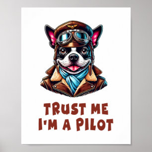 Poster Confie em mim, sou piloto