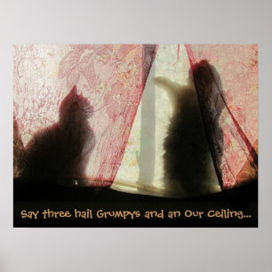 Poster Confissões do gato