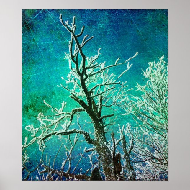 Poster Congelado (Frente)