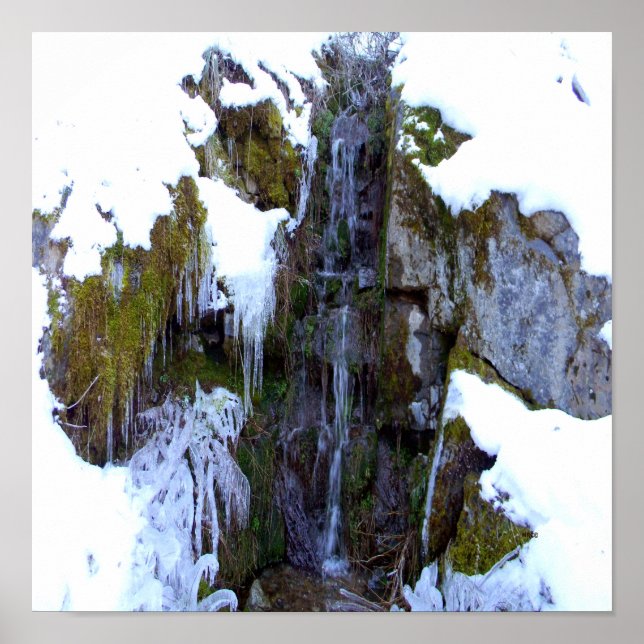 Poster Congelado no tempo... (Frente)