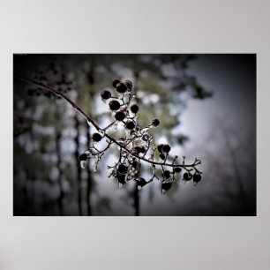Poster Congelamento de inverno,