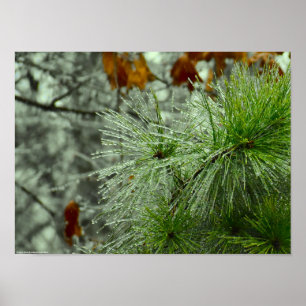 Poster Congelamento de inverno,