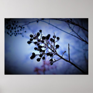 Poster Congelamento de inverno, 