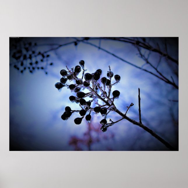 Poster Congelamento de inverno, (Frente)