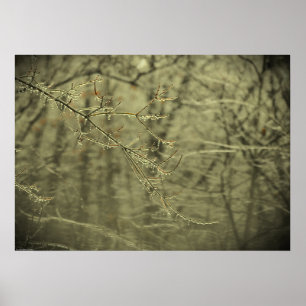 Poster Congelamento de inverno,