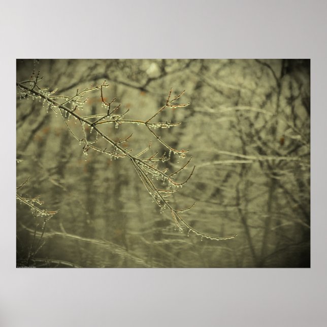 Poster Congelamento de inverno, (Frente)