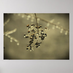 Poster Congelamento de inverno,