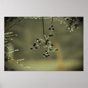 Poster Congelamento de inverno,