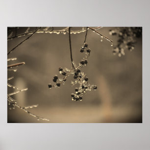 Poster Congelamento de inverno,