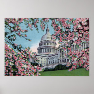 Poster Congresso de Washington DC Capitol Hill Cherry Blo