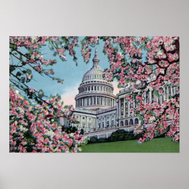 Poster Congresso de Washington DC Capitol Hill Cherry Blo (Frente)