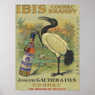 Póster Conhaque dos íbis - Joseph Gautier & Promo de Fil