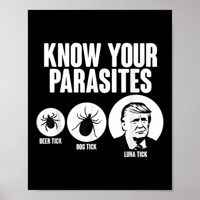 Poster Conheça Seus Parasitas Cachorros Dick Tick Donal E (Frente)