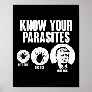 Poster Conheça Seus Parasitas Cachorros Dick Tick Donal E