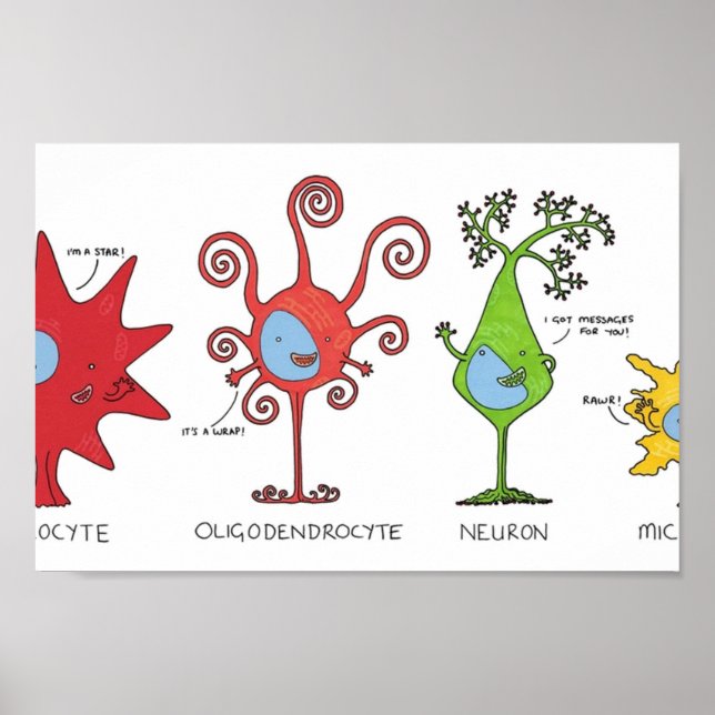 Poster Conheça suas células cerebrais WIDE (Frente)