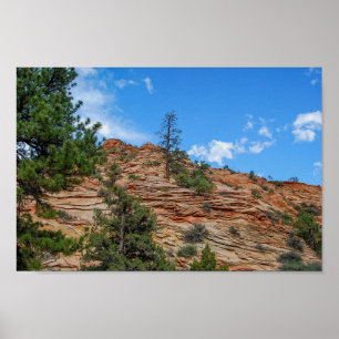 Poster Conifer Trees Crescendo em Zion National Park, Uta
