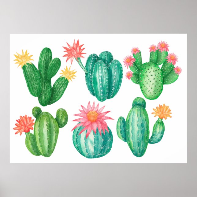 Poster Conjunto de cactos com flores. Elementos isolados  (Frente)