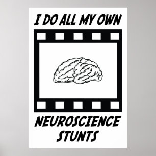 Póster Conluios da neurociência