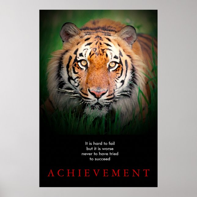 Poster Conquista Motivacional Tiger (Frente)