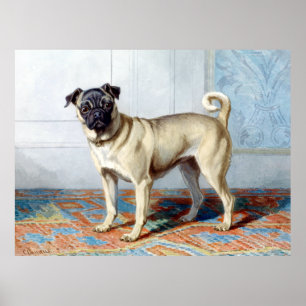 Poster Conradijn Cunaeus Retrait de Edwin Vom Rath’s Pug