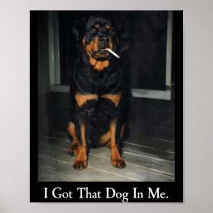 Poster Consegui esse cachorro em Rottweiler cachorro fuma