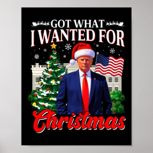 Poster Consegui o que eu queria no Natal Donald Trump 47t