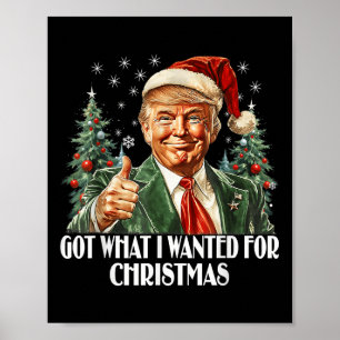 Poster Consegui O Que Queria No Natal - Trump Xmas