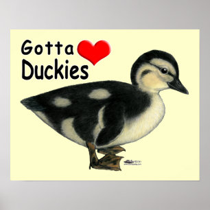 Poster Conseguiu amar Duckies