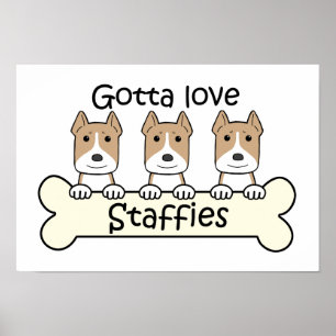 Póster Conseguiu amar Staffies