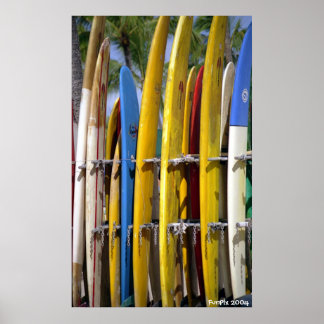 Póster Conselho Walk